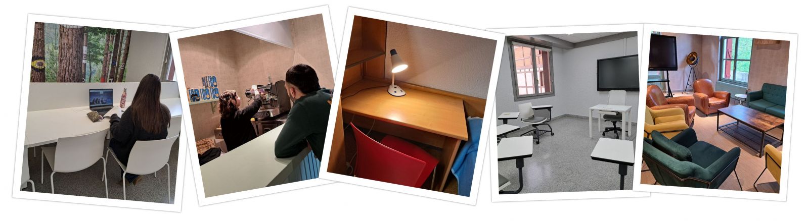 ¿Qué nivel de euskera se necesita para opositar?